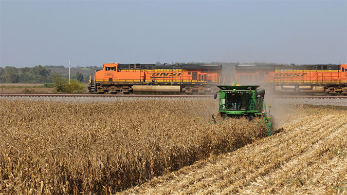 A BNSF train passes a crop being harvested. 